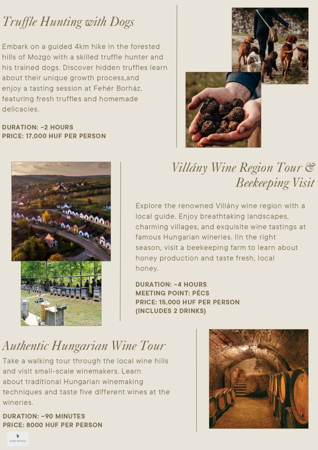 Beige Minimalist Photography Flyer_20250214_100235_0000_page-0001